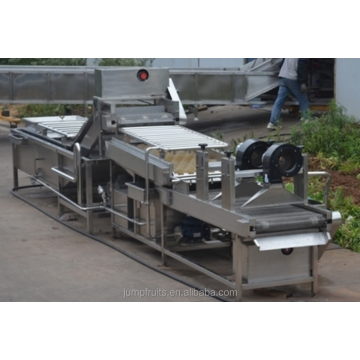 Fruit and vegetable washing and sorting machine